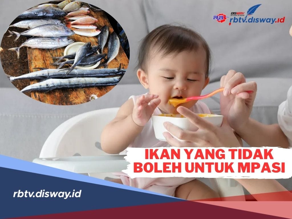 Bunda Harus Tahu! Ini Ikan yang Tidak Boleh untuk Mpasi Si Kecil, Jangan Lupa ya