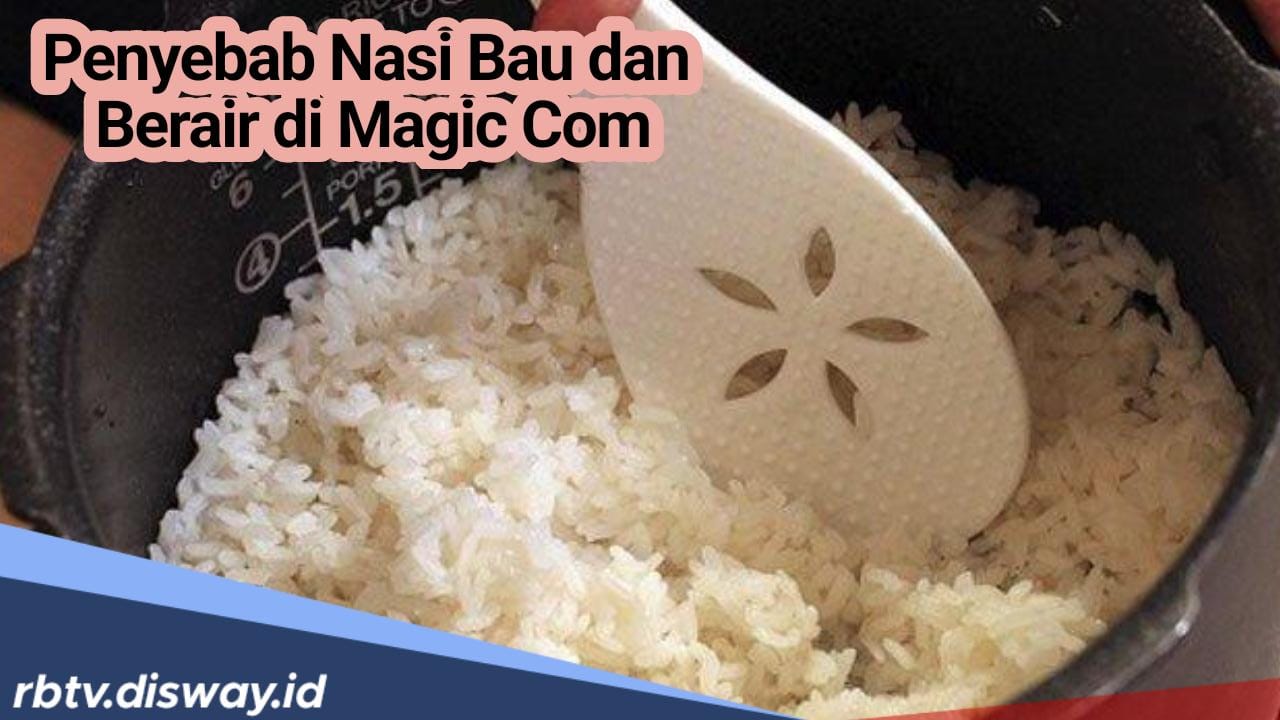 Ternyata Ini Penyebab Nasi Bau dan Berair di Magic Com! Begini Cara Pilih Magic Com yang Berkualitas