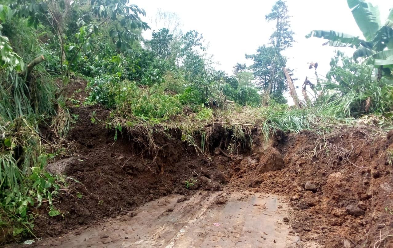 Hujan Deras, Jalan Provinsi di Kepahiang Longsor