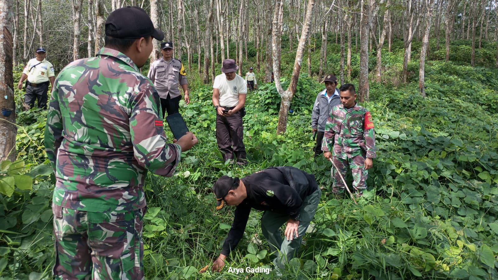 Ditemukan Jejak Diduga Harimau, BKSDA Pasang Perangkap Umpan Kambing