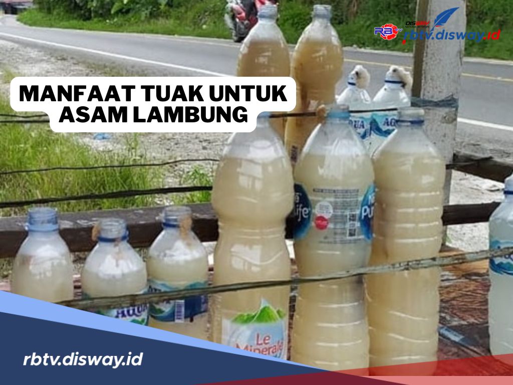 Manfaat Tak Terduga Tuak untuk Meredakan Asam Lambung, Mitos atau Fakta?