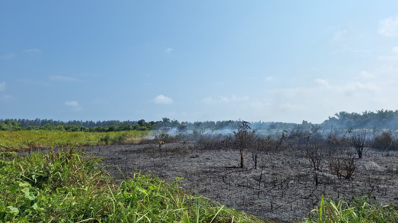 BPBD Mukomuko Ingatkan Potensi Karhutla, Ada 3 Kecamatan Rawan Kebakaran Lahan