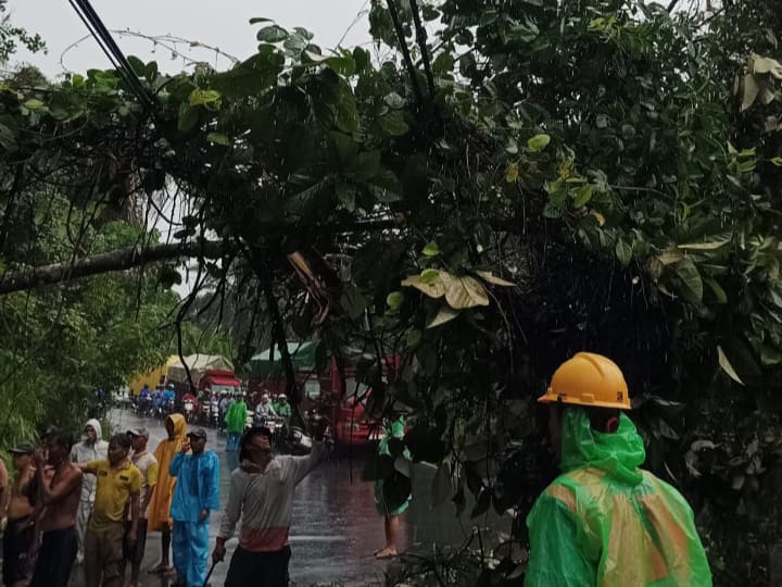 Longsor dan Pohon Tumbang di Seluma, Listrik Padam, Lalu Lintas Macet