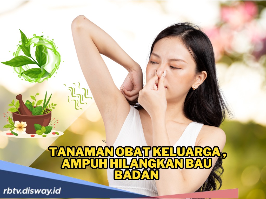PD Sirna karena Bau Badan, Gak Usah Khawatir Lagi, Ini 7 Tanaman Obat Keluarga untuk Menghilangkan Bau Badan