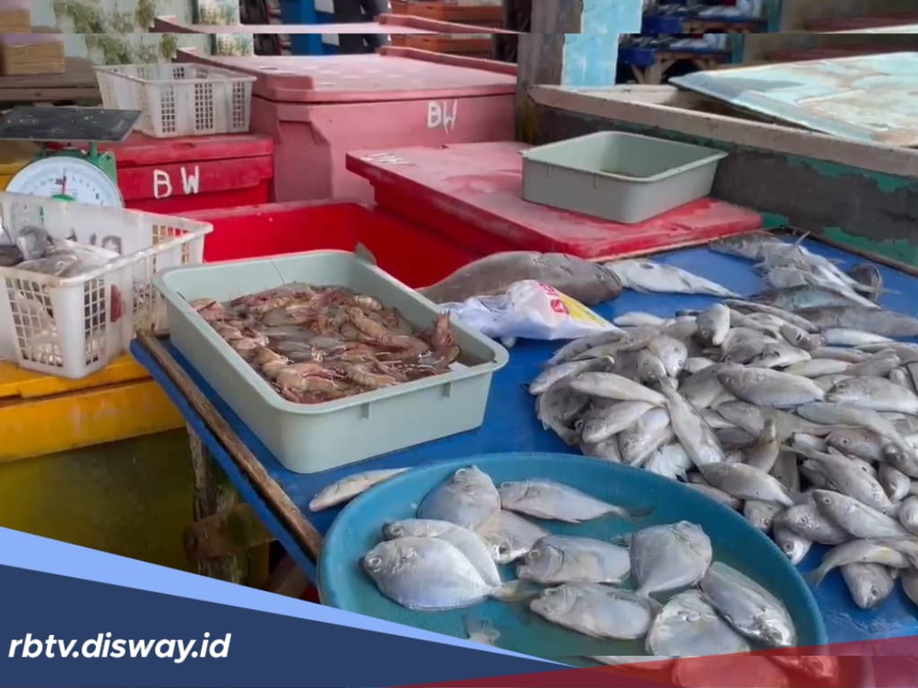 Distribusi Ikan dari Pulau Enggano Terganggu dan Banyak Rusak Bikin Harga Anjlok