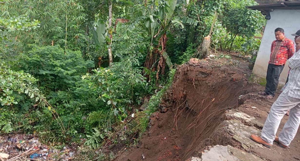 Longsor Akibat Hujan 2 Hari, Kandang Ternak Warga di Kepahiang Masuk Jurang Sedalam 15 Meter