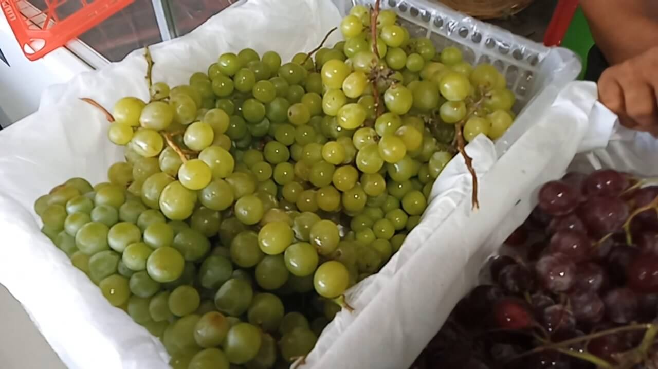 Inovasi Terbaru Wali Kota Bengkulu Dedy Wahyudi: Usai Gempala Terbitlah Genambah