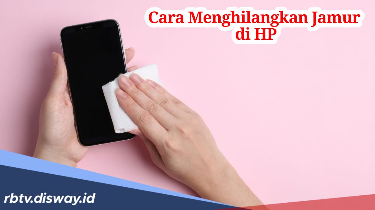 Praktis, Begini Cara Menghilangkan Jamur di HP agar Nampak Selalu Baru, Wajib Dicoba!