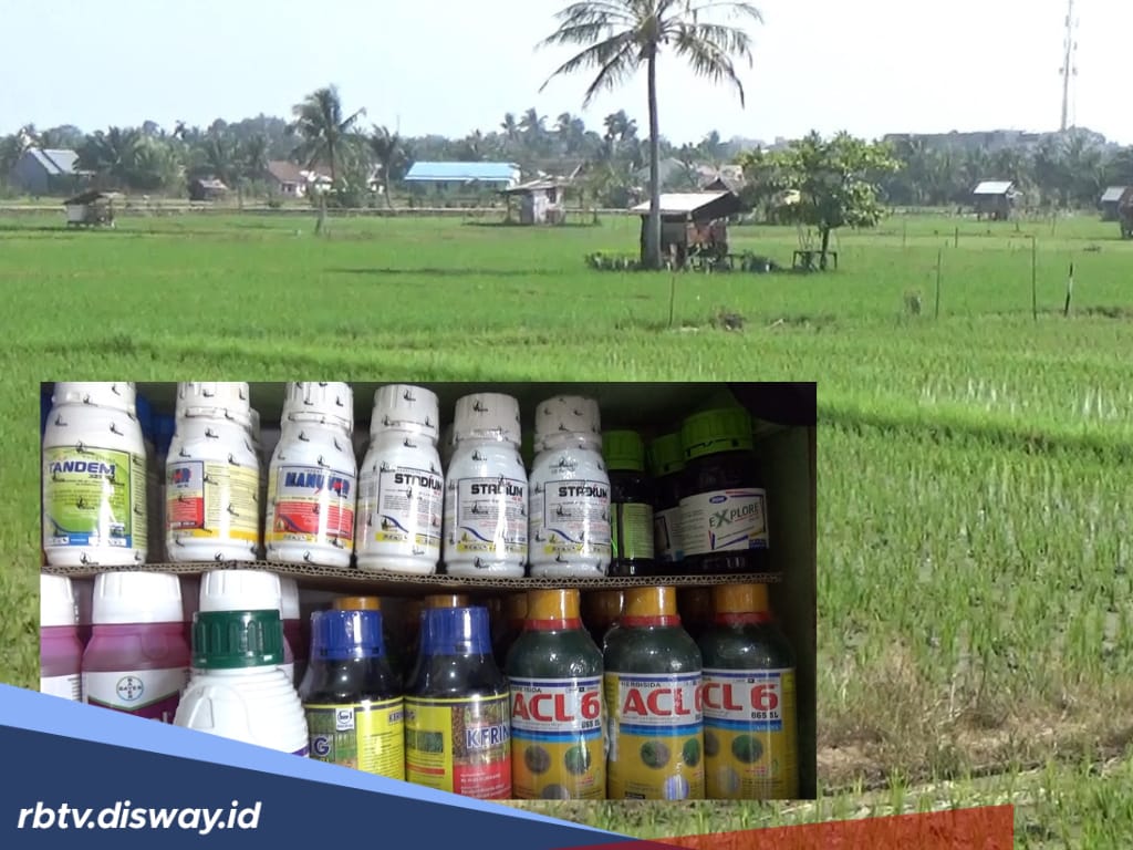 Realisasi Pupuk Subsidi, Sepanjang Februari 2025 Tercatat 9.394 Ton Disalurkan