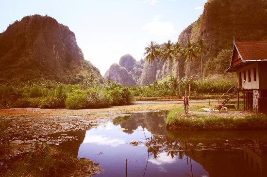 Cek di Sini Rincian Dana Desa 2025 di Provinsi Banten, Lengkap Seluruh Desa (Bagian 2 Habis)