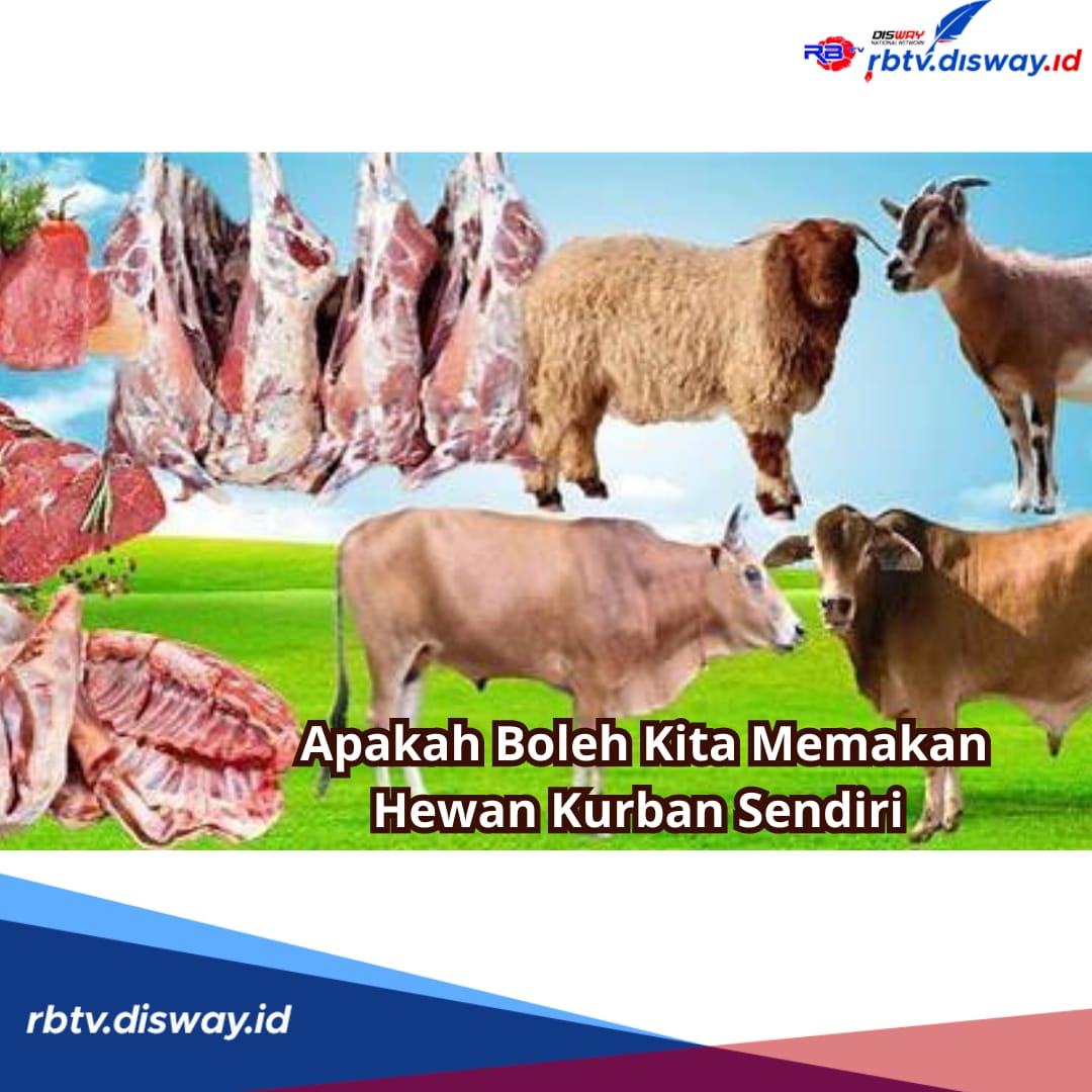 Apakah Boleh Kita Memakan Hewan Kurban Sendiri? Ini Penjelasan Hukumnya serta Jatah Maksimal