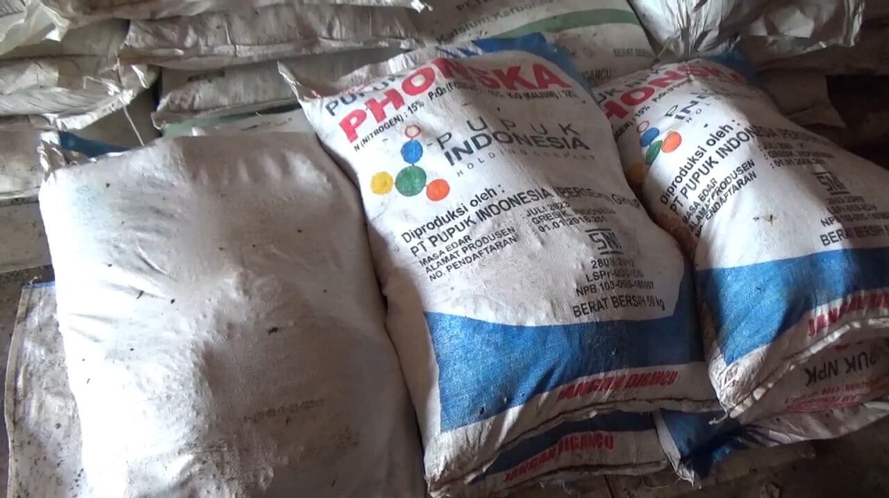 RDKK Petani Bengkulu Utara 2026 Turun, Pemkab Dorong Transisi ke Pupuk Organik