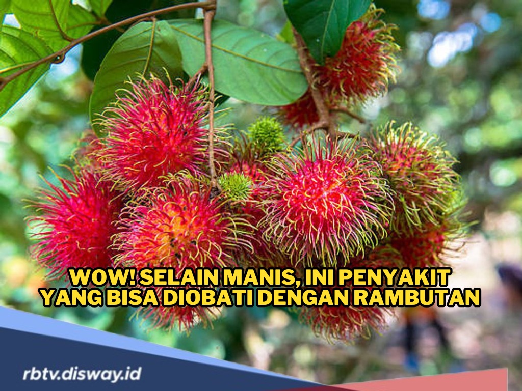 Si Manis Kaya Vitamin, Ini Penyakit yang Bisa Diobati dengan Rambutan