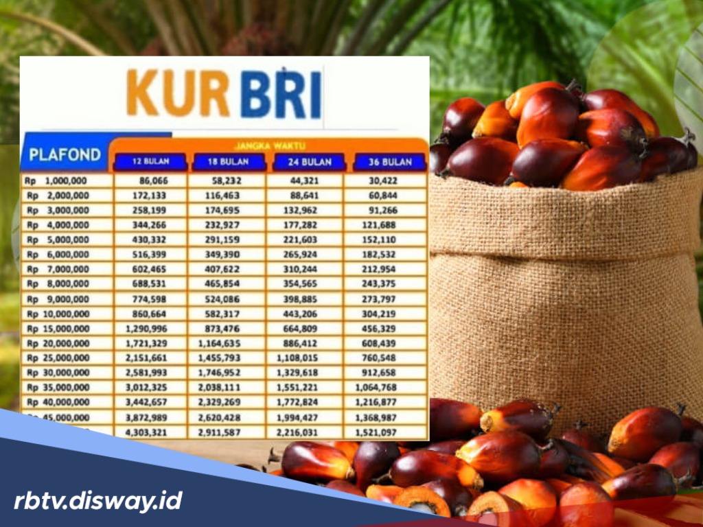 Pinjaman Petani Sawit Rp 60 Juta di KUR BRI 2025, Berikut Rincian Angsuran Bulanannya