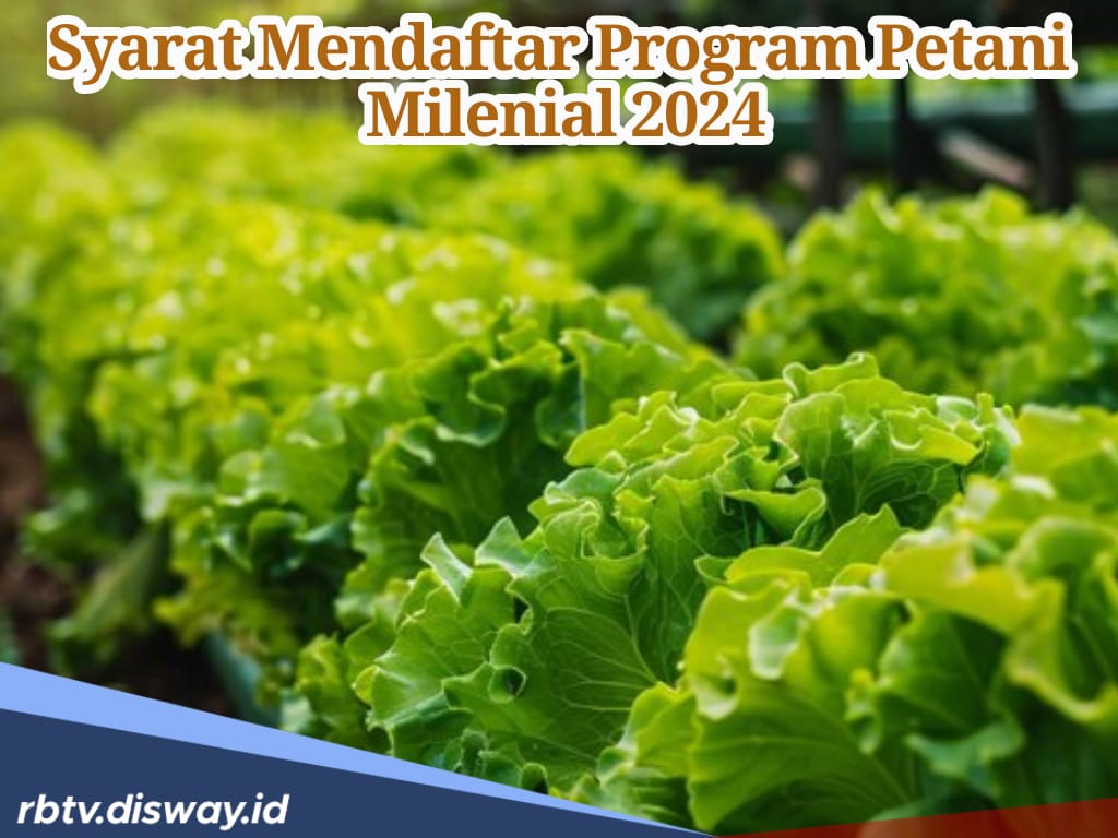 Syarat Daftar Program Petani Milenial 2024, Tawarkan Penghasilan Bulanan hingga Rp 10 Juta