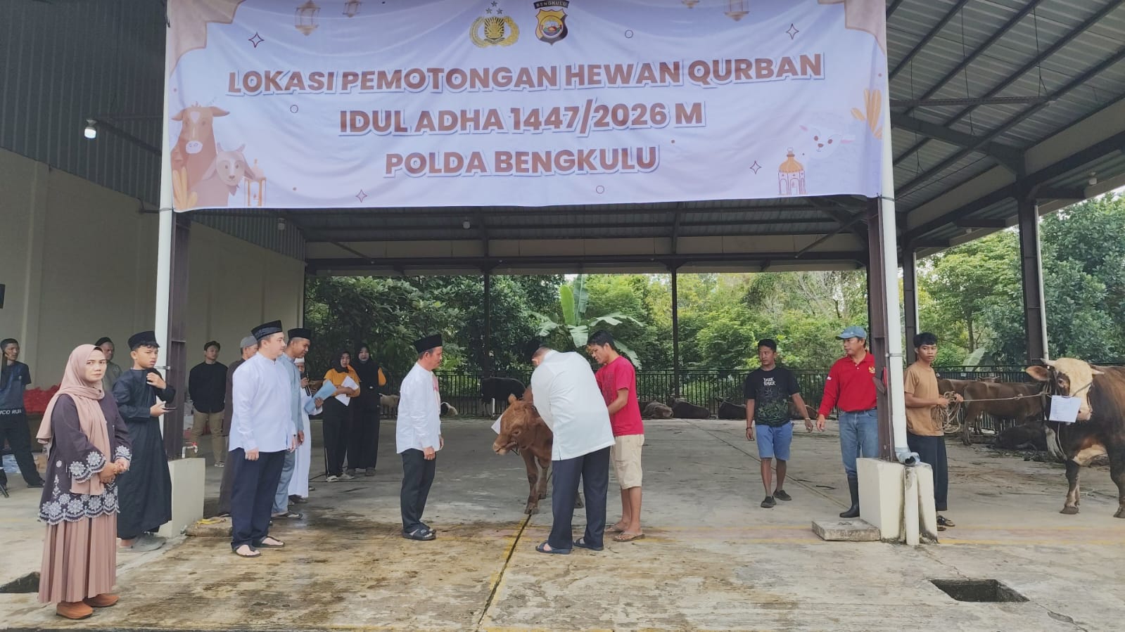 Polda Bengkulu Berkurban 18 Ekor Sapi dan 6 Kambing untuk Masyarakat yang Berhak