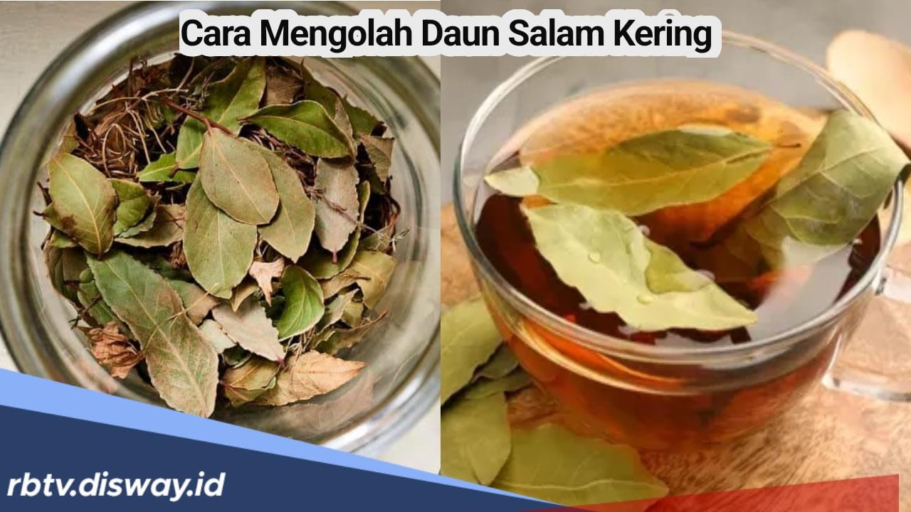 Begini Cara Benar Mengolah Daun Salam Kering, Minuman Kesehatan Alami Anti Mahal