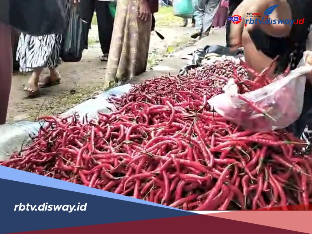 Stok Melimpah, Harga Cabe Merah di Kaur Turun 50 Persen