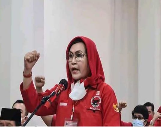 Kokoh di PDI Perjuangan dan Langganan Anggota DPR RI, Berapa Harta Kekayaan Elva Hartati?