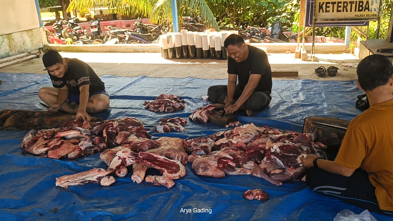 Alhamdulillah, Polres Seluma Kurban 5 Ekor Sapi dan 3 Ekor Kambing