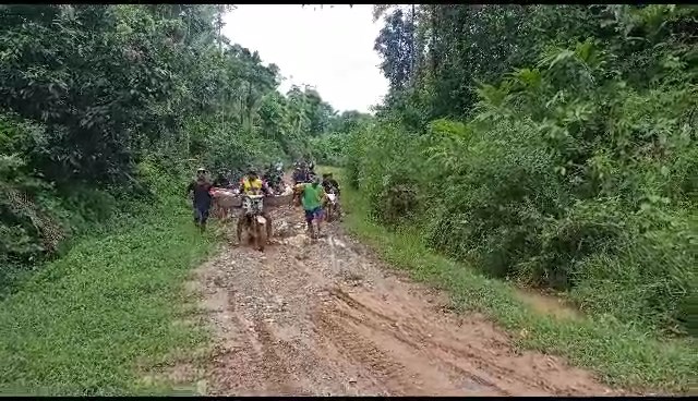 Perbaikan Jalan Desa Tanjung Aur, Herwin Minta Pemkab Kaur Pantau Realisasi Perbaikan dari Dana Inpres