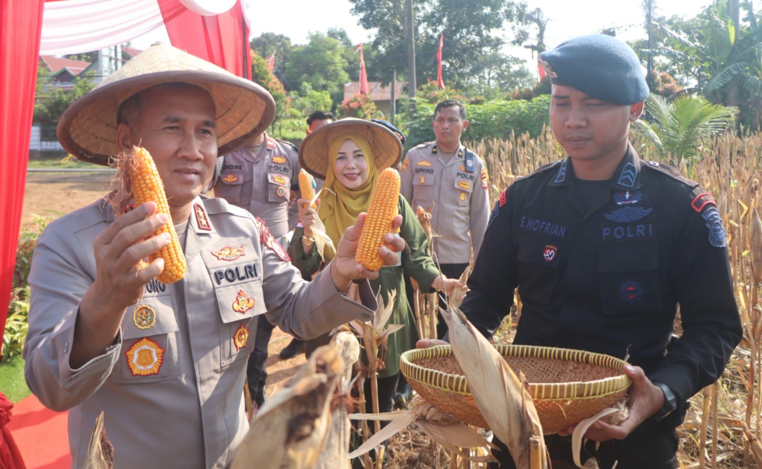 Kapolda Bengkulu Irjen Pol Mardiyono Panen Jagung