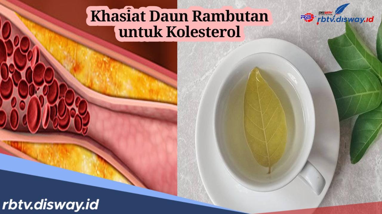 Kadar Kolesterol Turun hanya dengan Rebusan Daun Rambutan, Ini Aturannya Mengonsumsinya