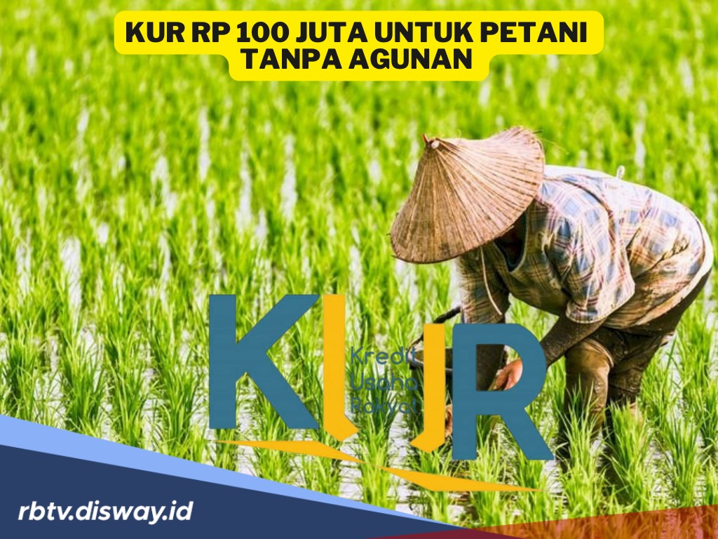 Petani Bisa Pinjam KUR hingga Rp 100 Juta Tanpa Agunan, Ini Syaratnya