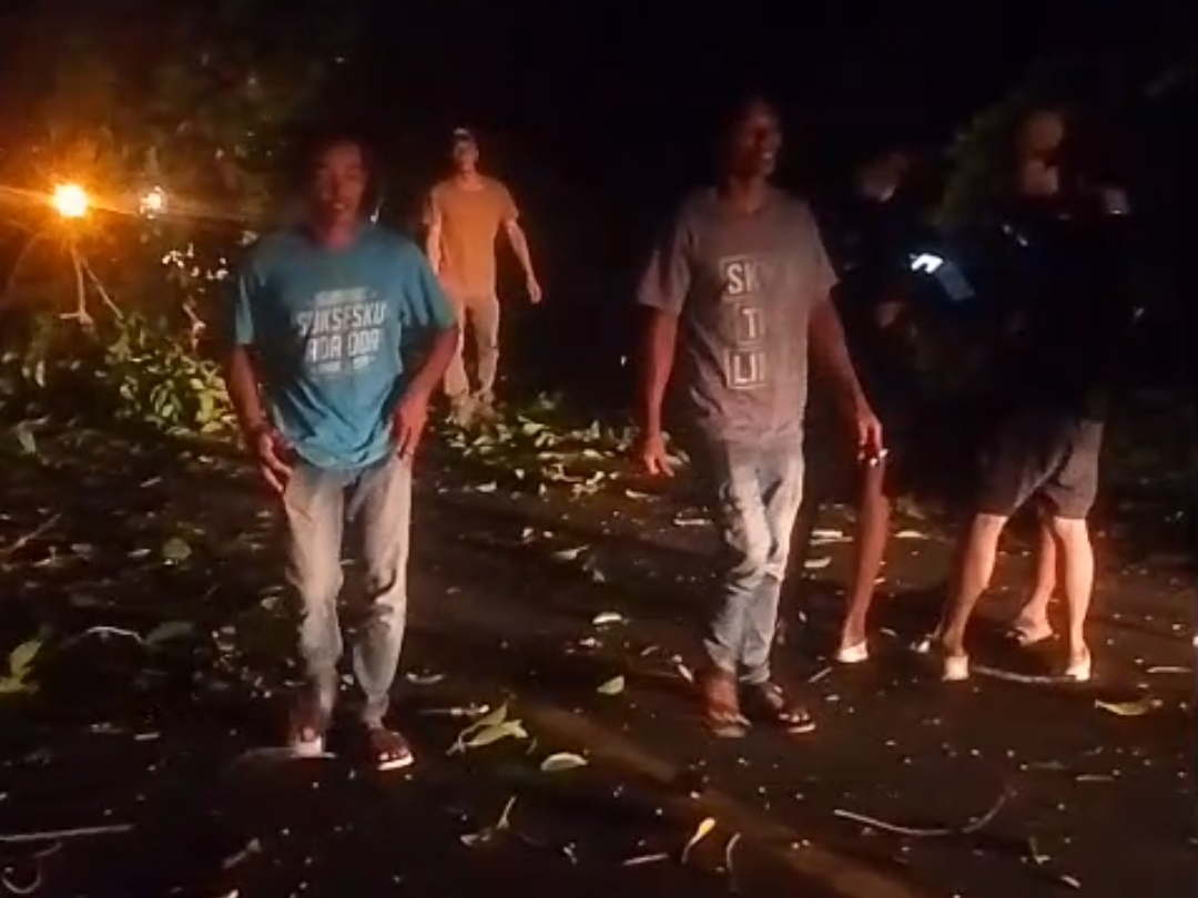 Pohon Tumbang di Seluma, Putuskan Jaringan Listrik dan Tutup Akses Jalan