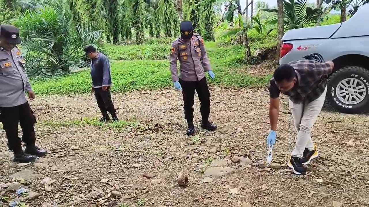 Spesialis Curnak Bersenpi Beraksi di Bengkulu Utara, Pemilik Sapi Simental Terluka