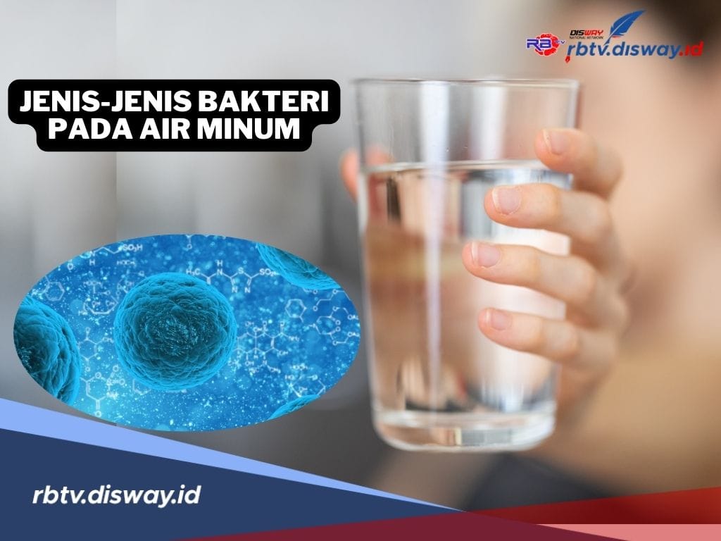 Kenali Jenis-jenis Bakteri Pada Air Minum, Bisa Picu Masalah Kesehatan Ini