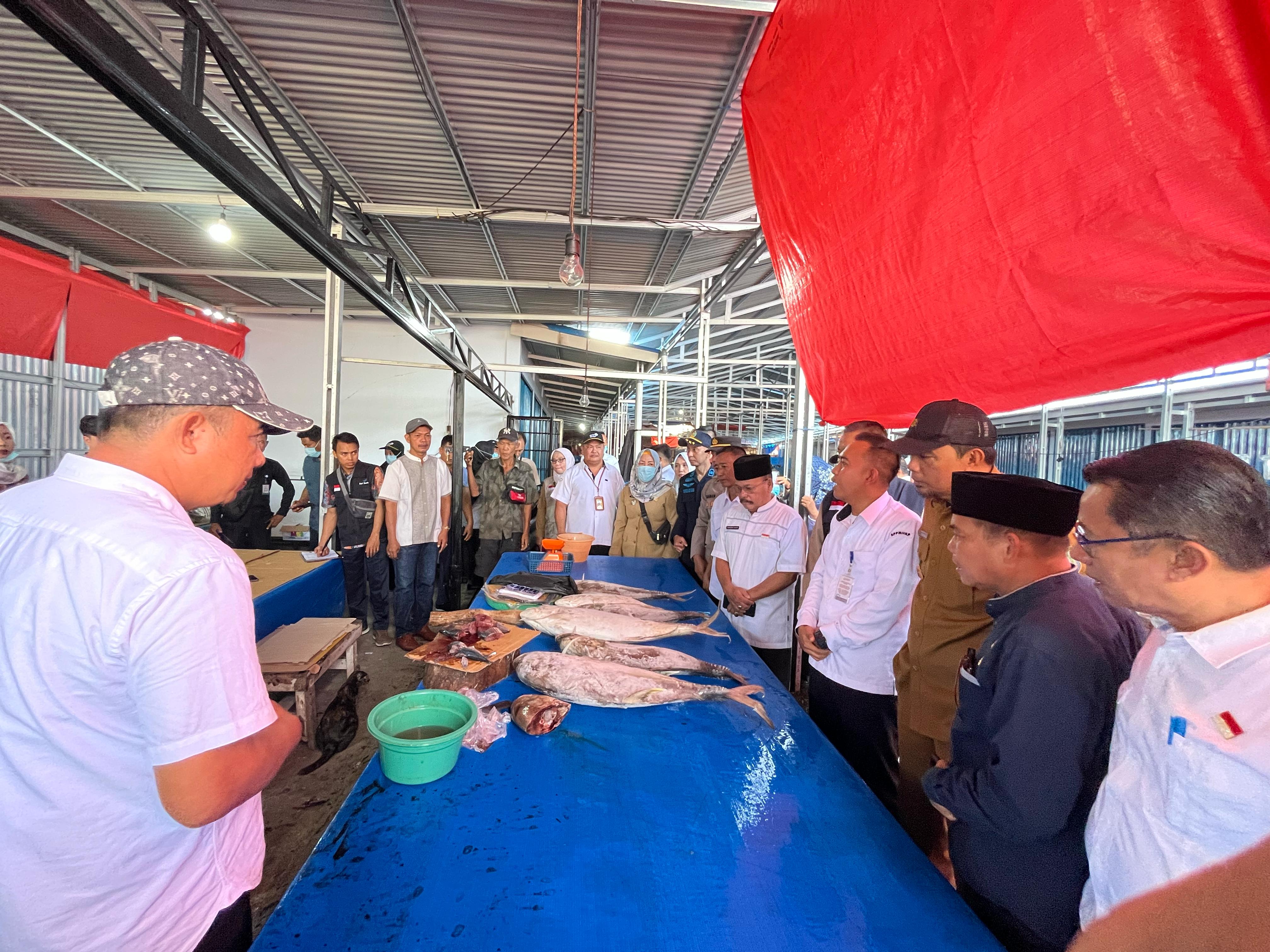 Pastikan Hasil Perikanan Sehat, KPP Lakukan Uji Sampel Ikan di Pasar Panorama