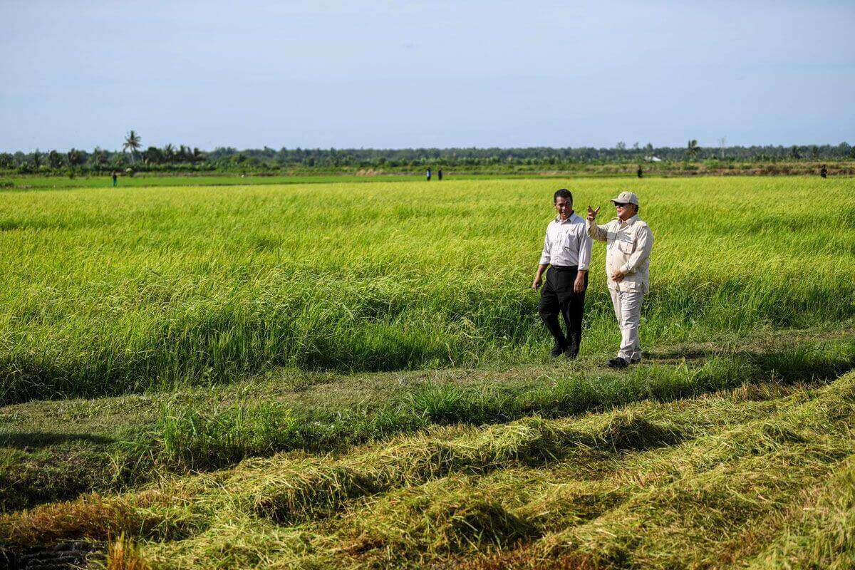Surganya Pertanian, Ini Lokasi Harta Karun di Papua Selatan