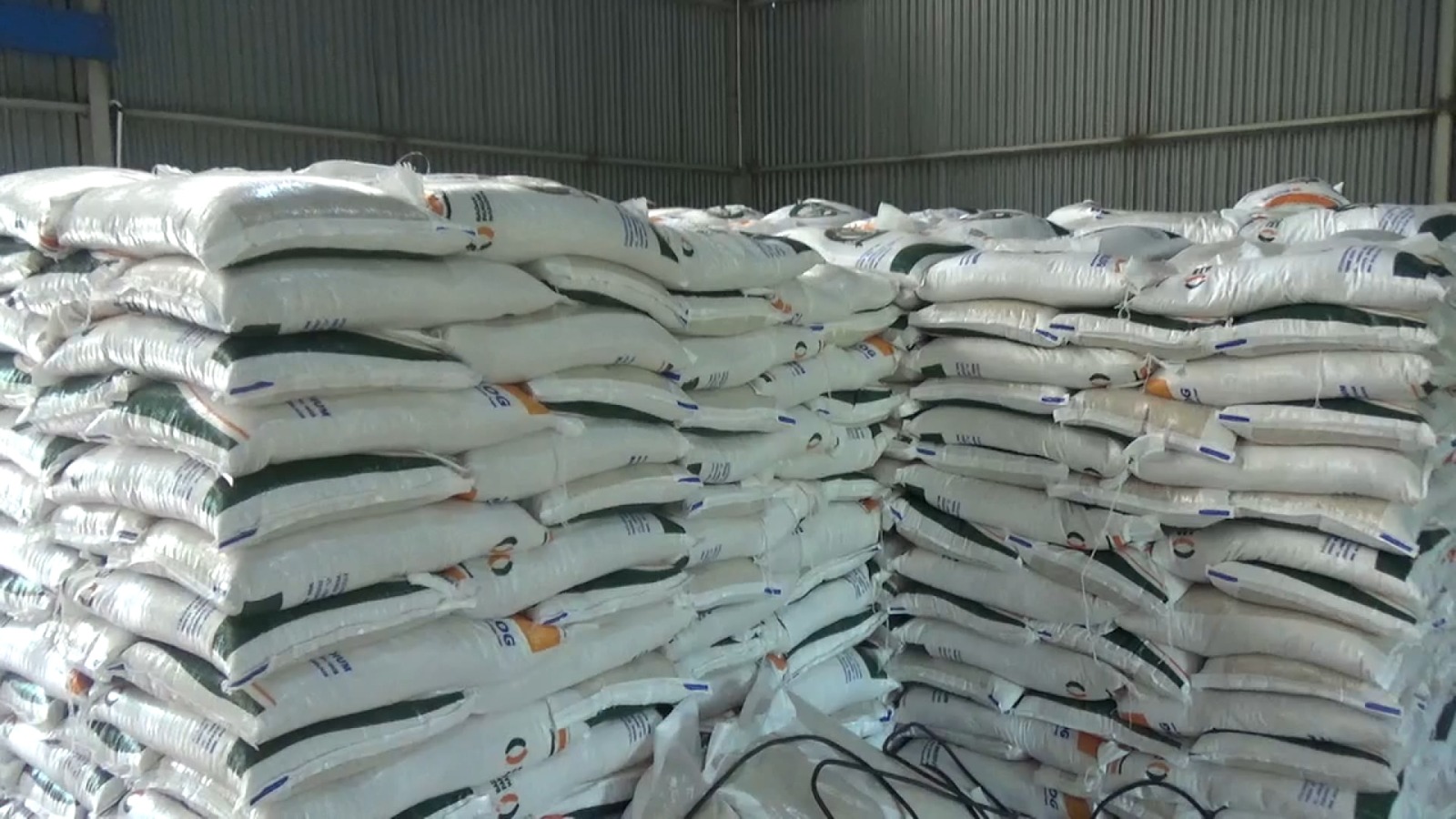 3.247 Ton Beras Bantuan Pangan Disalurkan ke Ratusan Ribu Warga Bengkulu 