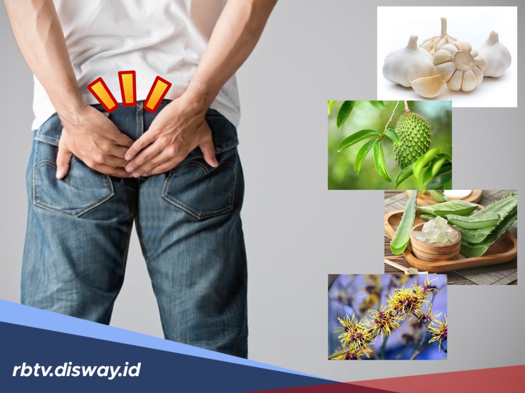 4 Tanaman Obat Herbal untuk Atasi Ambeien, Begini Cara Penggunaannya