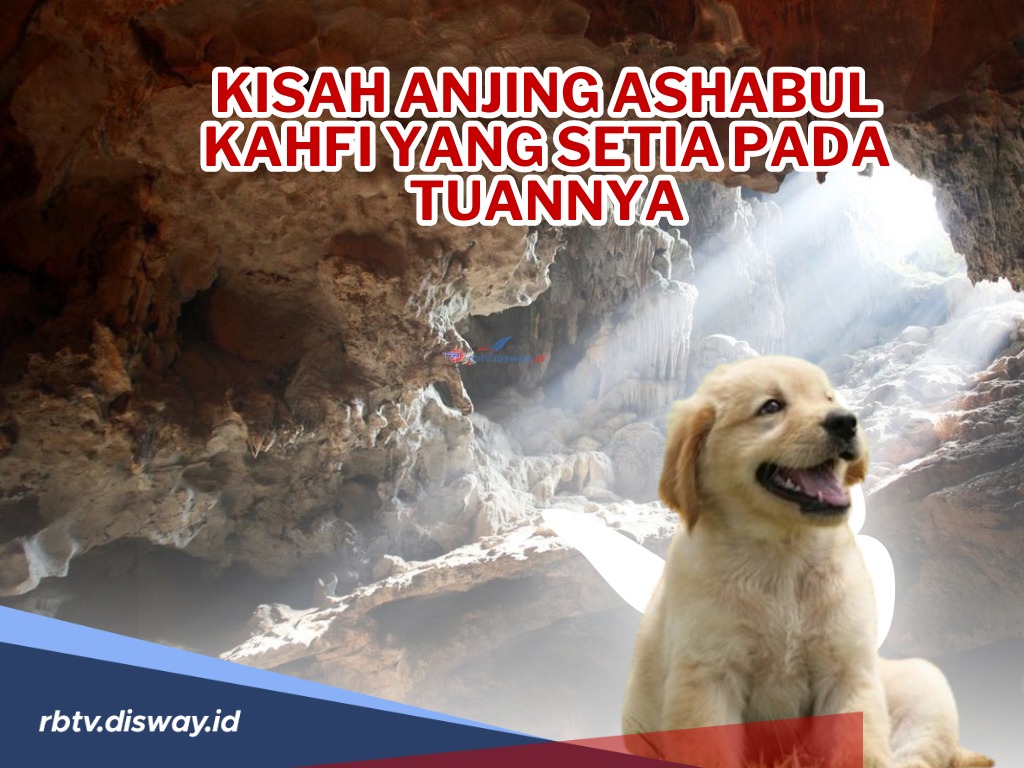 Diceritakan dalam Alquran, Inilah Kisah Anjing Ashabul Kahfi yang Setia pada Tuannya