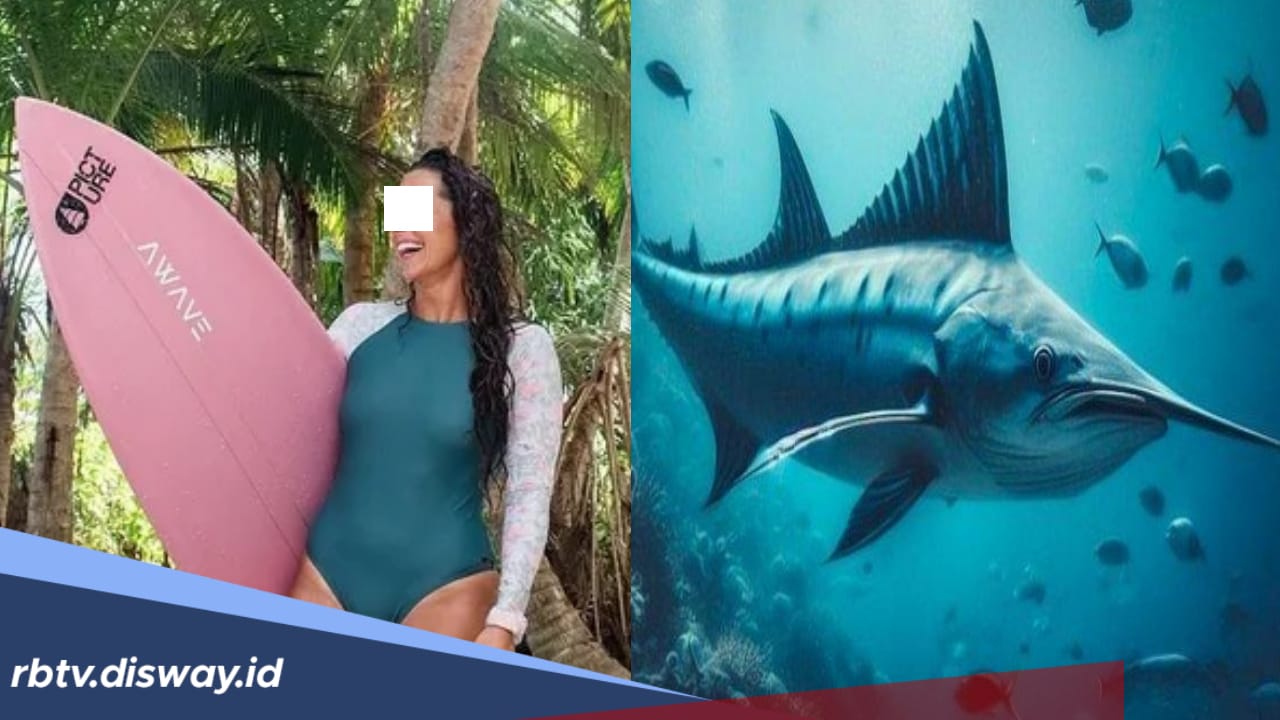 Wanita Cantik Tewas Tertusuk Ikan Todak di Mentawai, Korban Tertusuk di Bagian Dada