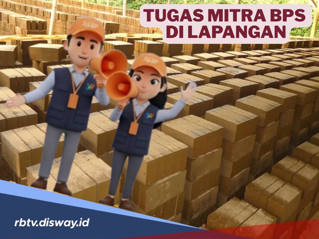 Ini Tugas yang Diemban Mitra Statistik BPS di Lapangan