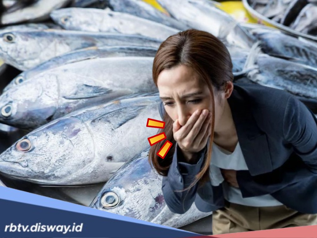 Obat Alami dan Medis Keracunan Ikan Tongkol dan 5 Ciri-ciri Keracunan Ikan Tongkol