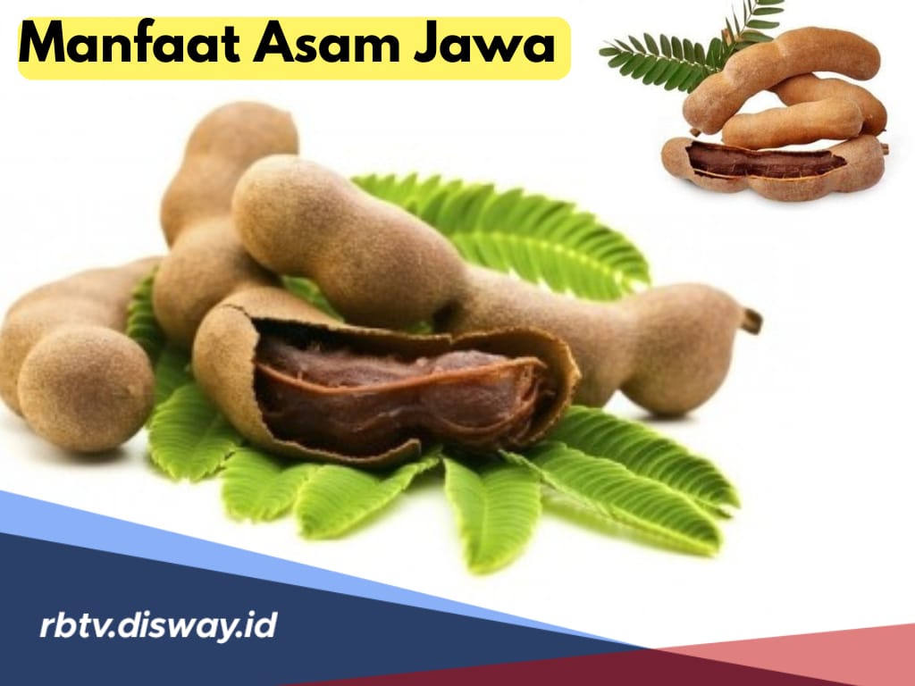 11 Khasiat Asam Jawa untuk Kesehatan Tubuh, Bukan Sekadar Bumbu Masak