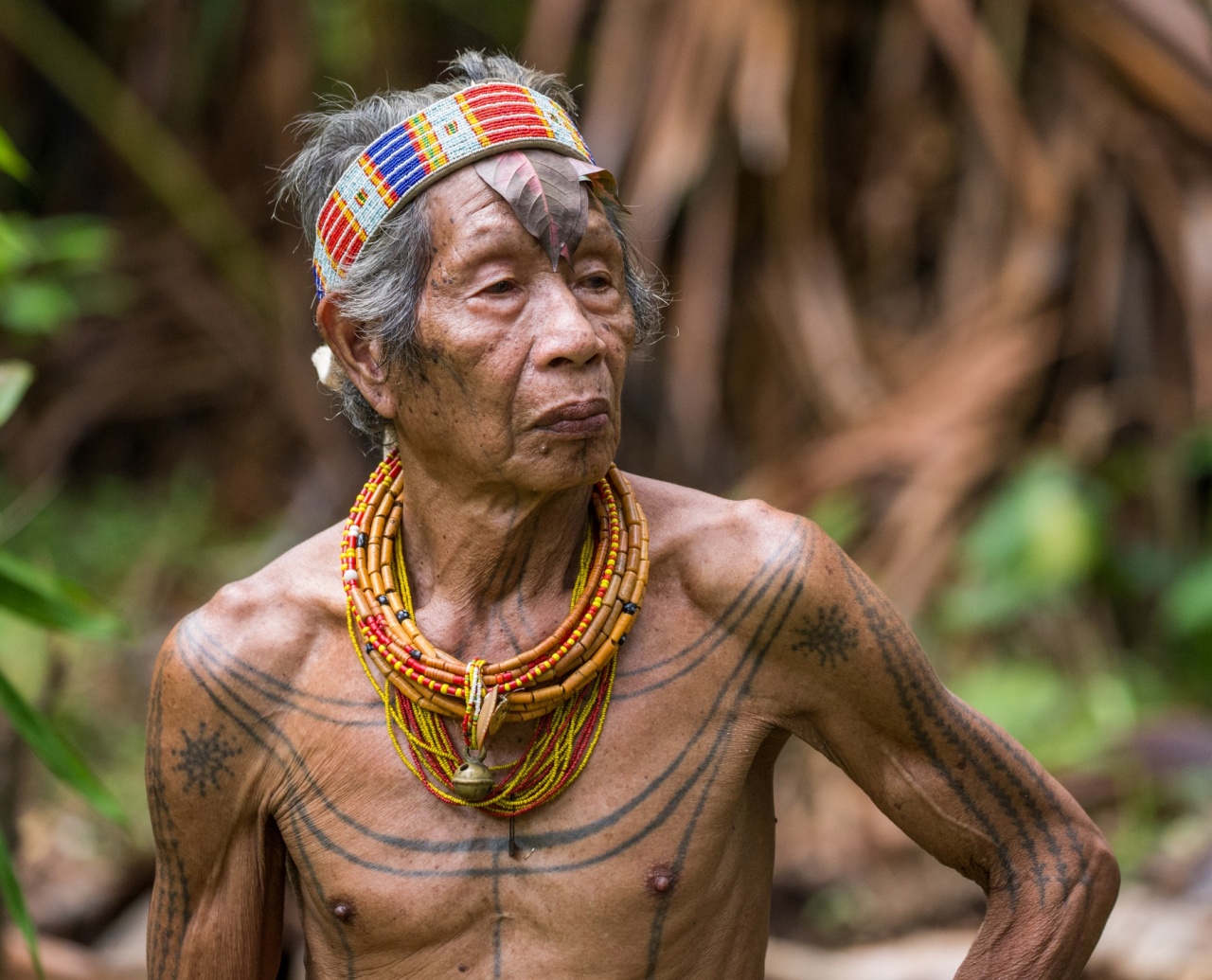 Dikenal Sebagai Suku Tertua di Indonesia, Tato Suku Mentawai Dianggap Sebagai Tradisi Tato Tertua di Dunia