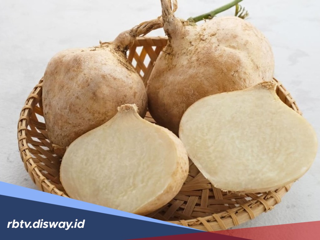 7 Manfaat Bengkoang untuk Kesehatan Tubuh dan Kulit