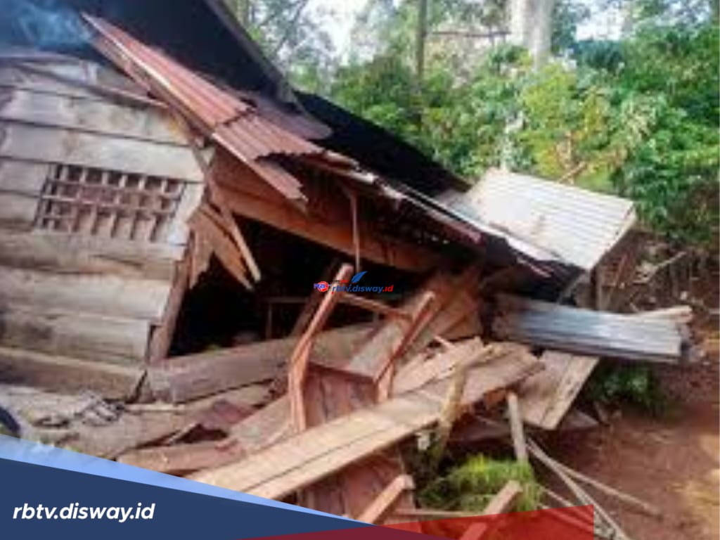 Meresahkan, Kawanan Gajah Liar Masuk ke Pemukiman Warga, Rusak 15 Rumah dan Curi Hasil Panen