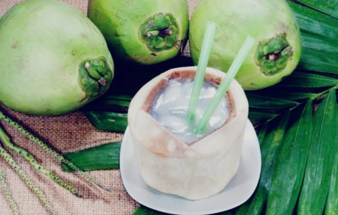 Minum Air Kelapa Hangat dengan Cara Direbus, Ini 8 Manfaat Luar Biasa Untuk Kesehatan Tubuh