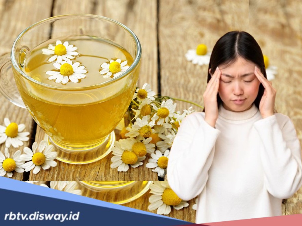 Sering Merasakan Cenat-cenut Sakit Kapala? Jangan Minum Obat Terus, Konsumsi Air Rebusan Ini Biar Enakan