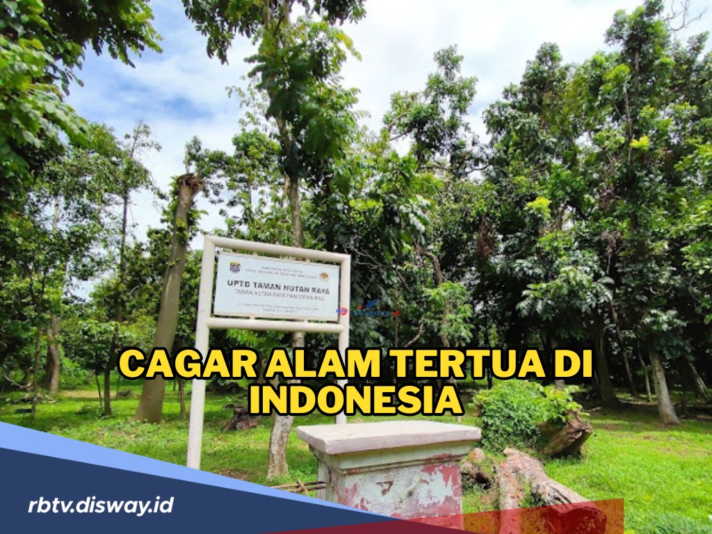 Menilik Cagar Alam Tertua di Indonesia, Kelestariannya Masih Dijaga hingga Sekarang!