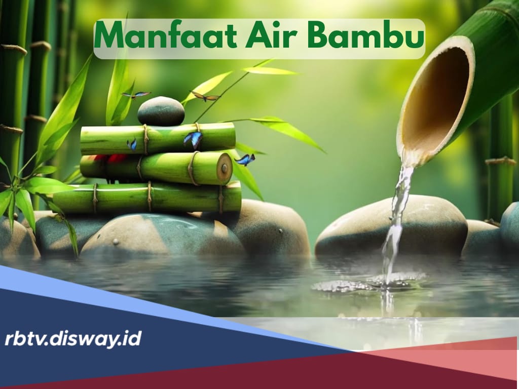 Bukan hanya Sekadar Tumbuhan Kayu, Ini 6 Manfaat Air Bambu untuk Kesehatan Tubuh