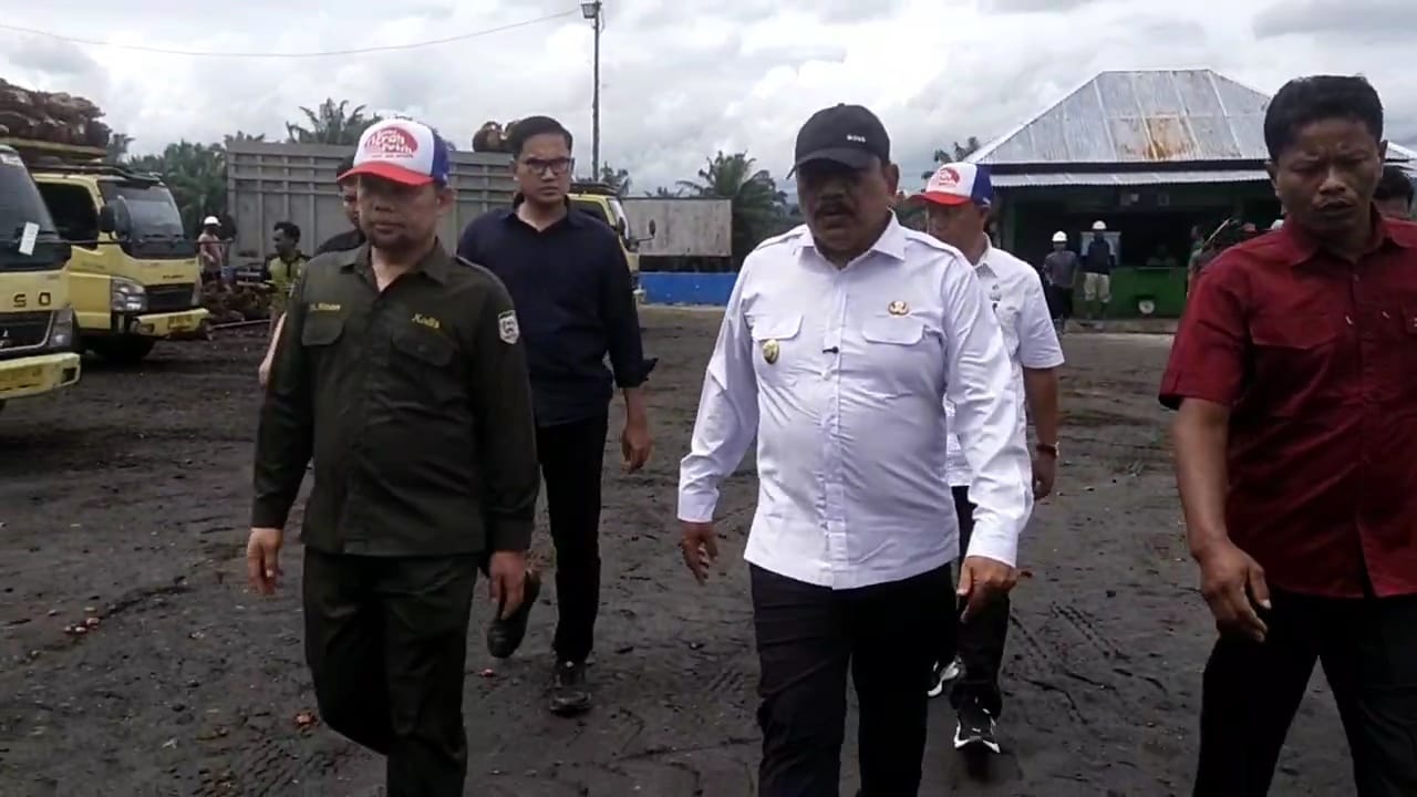 Temuan Wagub Mian, Harga Beli TBS Kelapa Sawit Banyak di Bawah Ketetapan Pemerintah