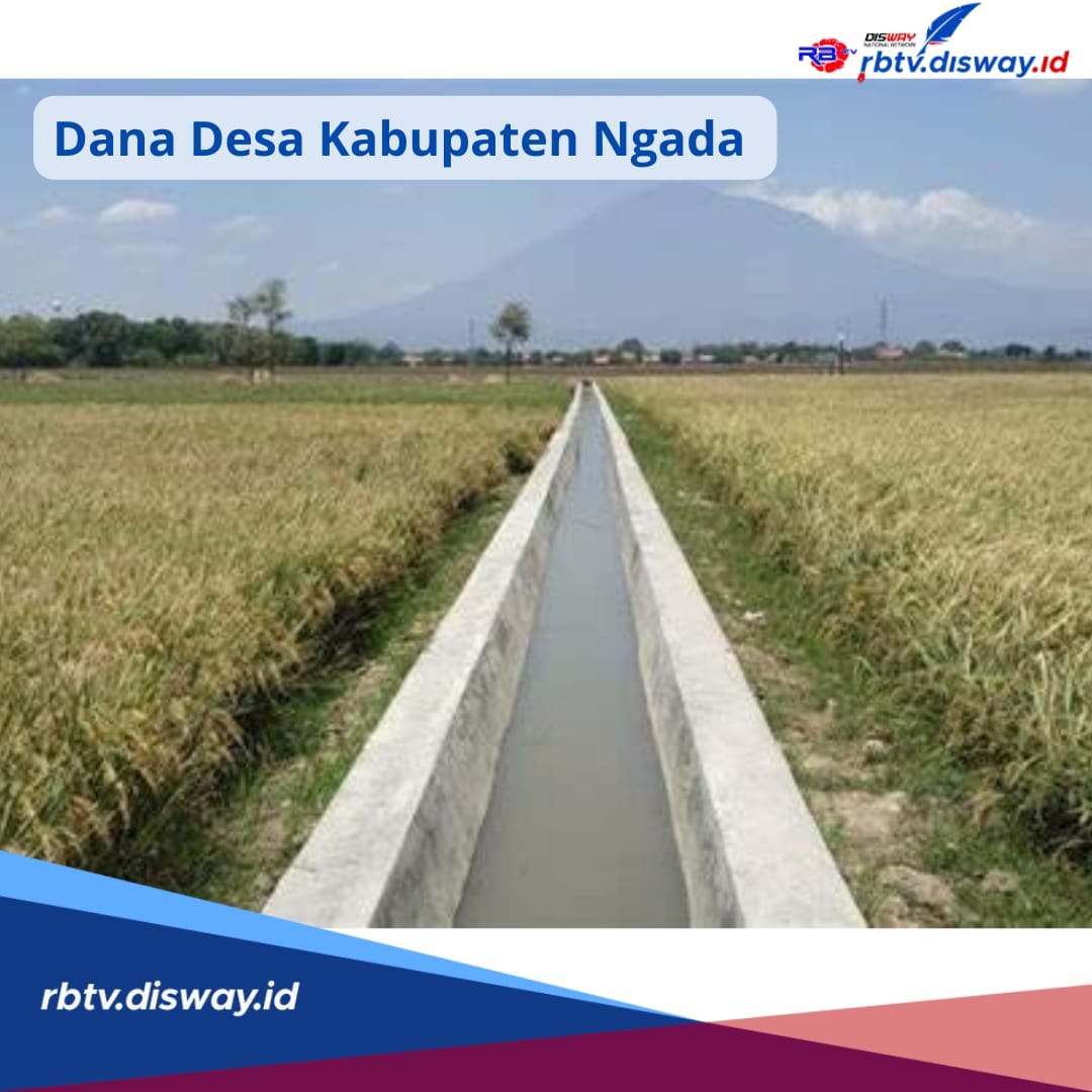 Dana Desa di Kabupaten Ngada Tahun 2024, Segini Rincian untuk 190 Desa, Berapa Tertinggi?