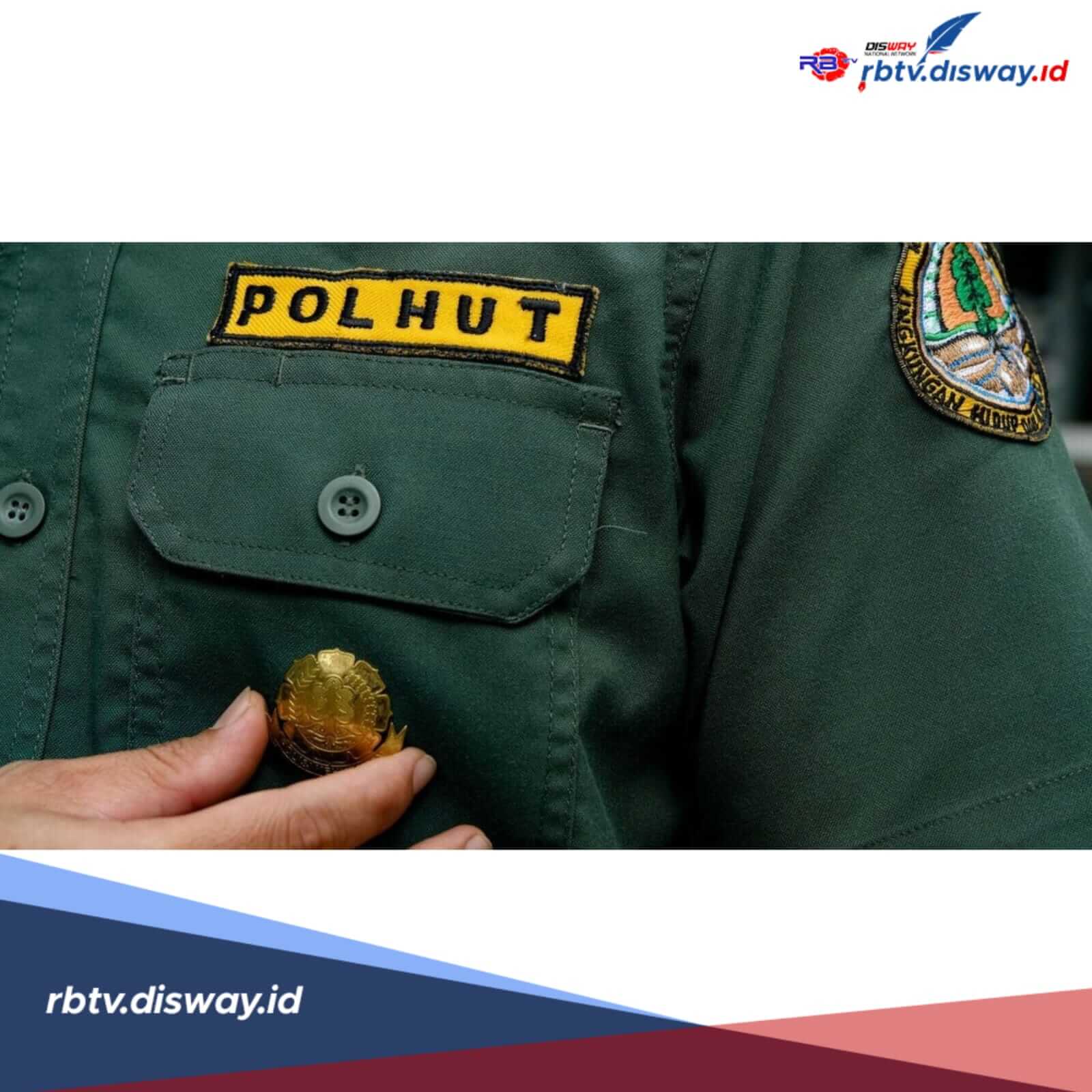 Banjir Peminat, Ini Syarat Daftar CPNS Polhut 2026 